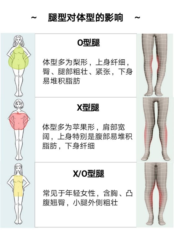 日式O/X型腿矫正